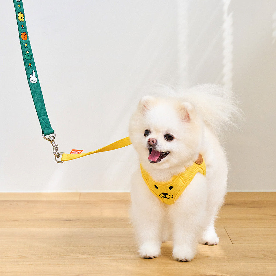 Lion Face Harness