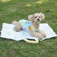 Snoopy Picnic Cooling Mat