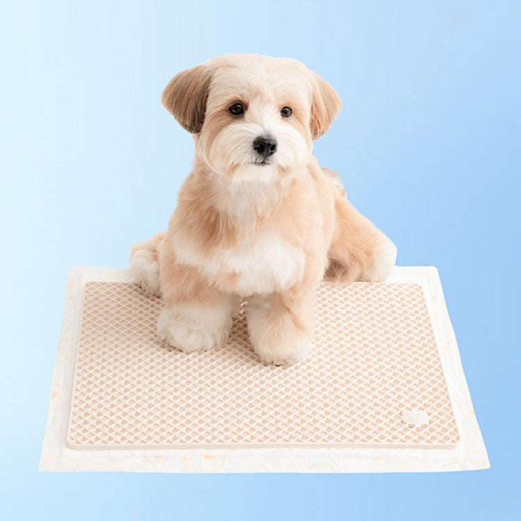 BITE ME | Zero Guard Mat | Anti-Shred & Dry-Paw Pee Pad Mat