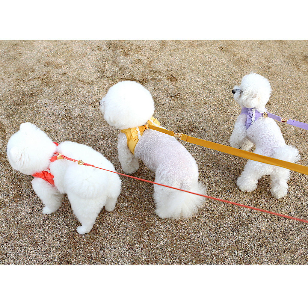 Daisy Leash