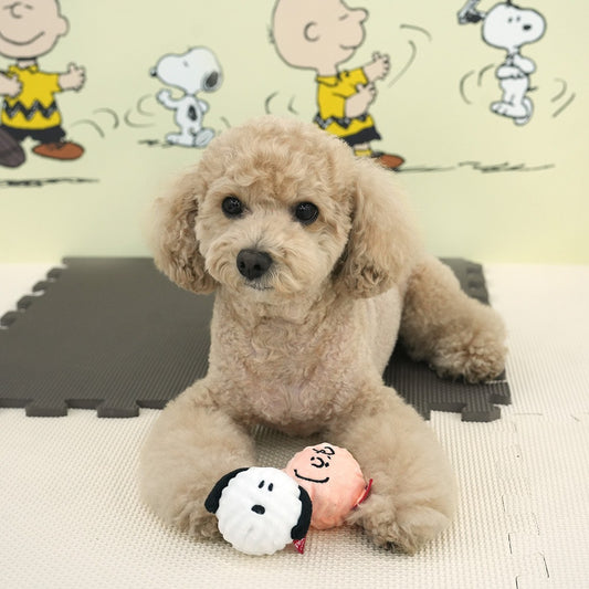 Snoopy布包咇咇波玩具