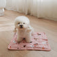Dinotaeng One More Bite Cooling Gel Mat