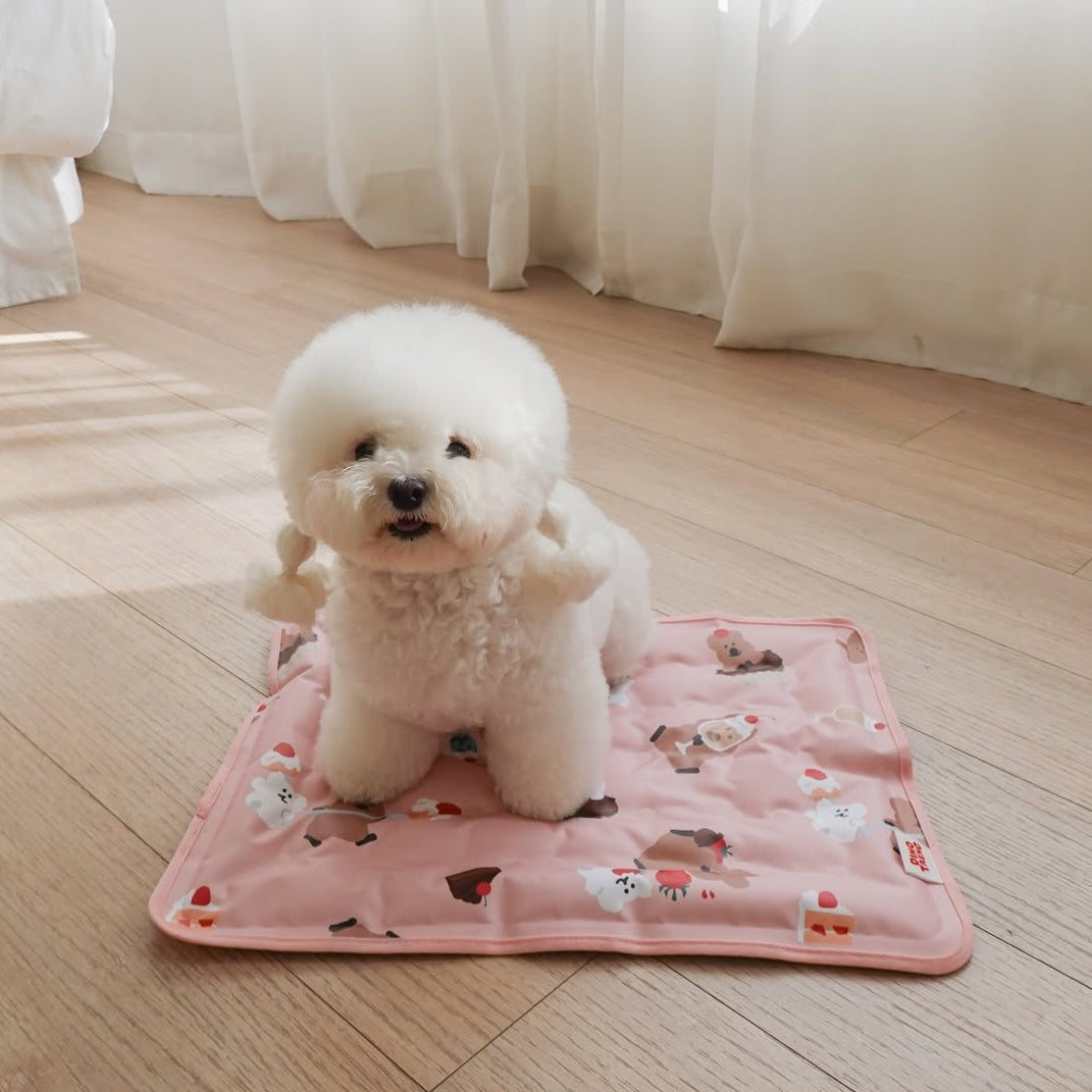 Dinotaeng One More Bite Cooling Gel Mat