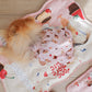 Dinotaeng One More Bite Cooling Gel Mat