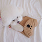 Dinotaeng Ice Pack Pouch
