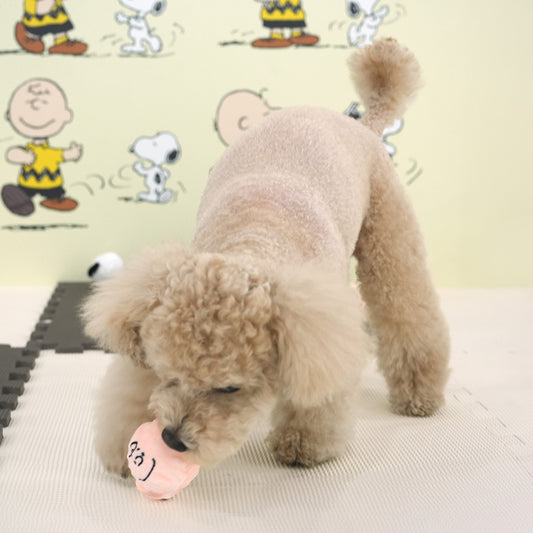 Snoopy布包咇咇波玩具