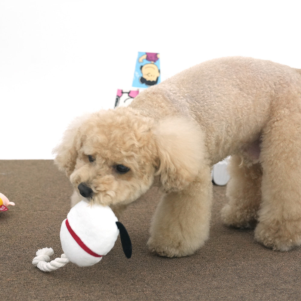 Snoopy Egg Rope Toy 蛋型玩具