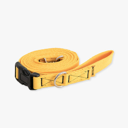 Candy Crayon Hands Free Leash