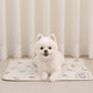 Teddy Bear Cooling Mat 韓系熊仔凝膠冰墊 | 雙面設計