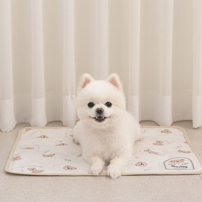 Teddy Bear Cooling Mat 韓系熊仔凝膠冰墊 | 雙面設計