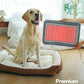 Cirius Pet 近紅外線關節墊 - PRO | 大尺寸! | 可躺療