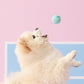 BITE ME | Sanrio Tennis Toy Ball Set 小網球玩具 | 有咇咇 | 一套3粒