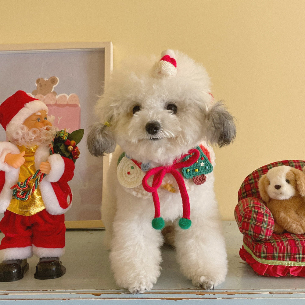 Rudolph Xmas Cape | Rudolph Horn at the back