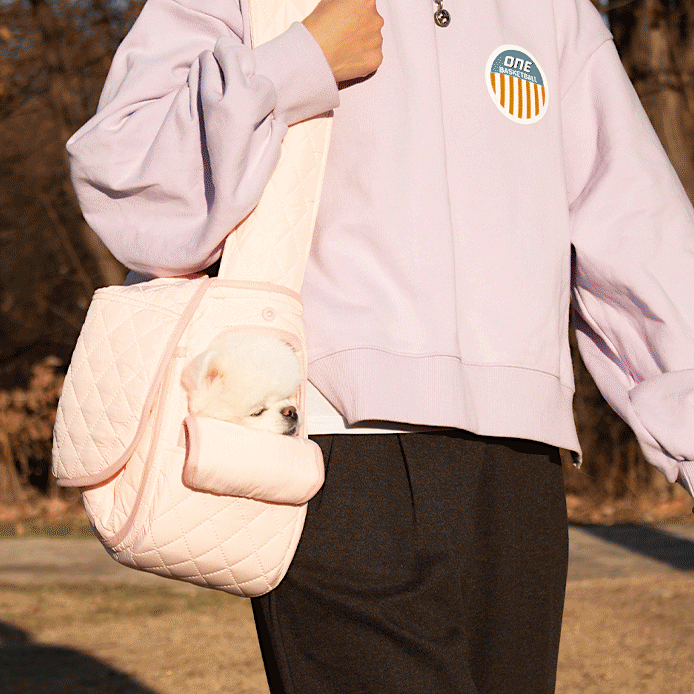 Campus Sling Bag