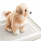 BITE ME | Zero Guard Mat | Anti-Shred & Dry-Paw Pee Pad Mat