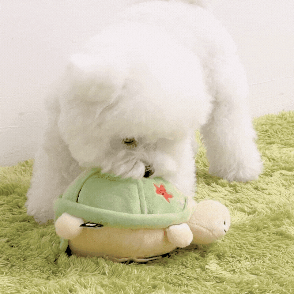 BITE ME | Jumping Turtle Toy | Auto Self-Moving | Rechargable