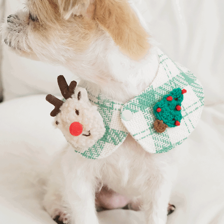 Christmas Check Cape