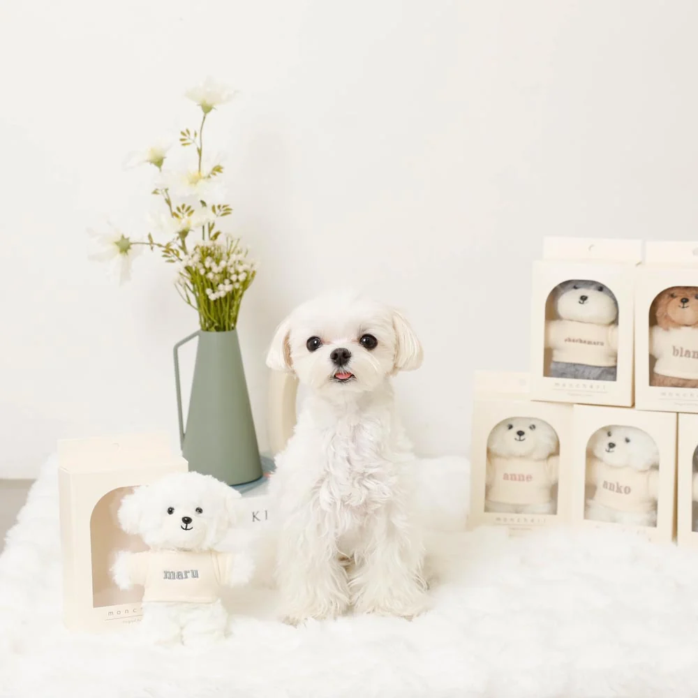 Custom Name Tee Dog Plush Keychain & Bag Charm | FREE High Quality Embroidery