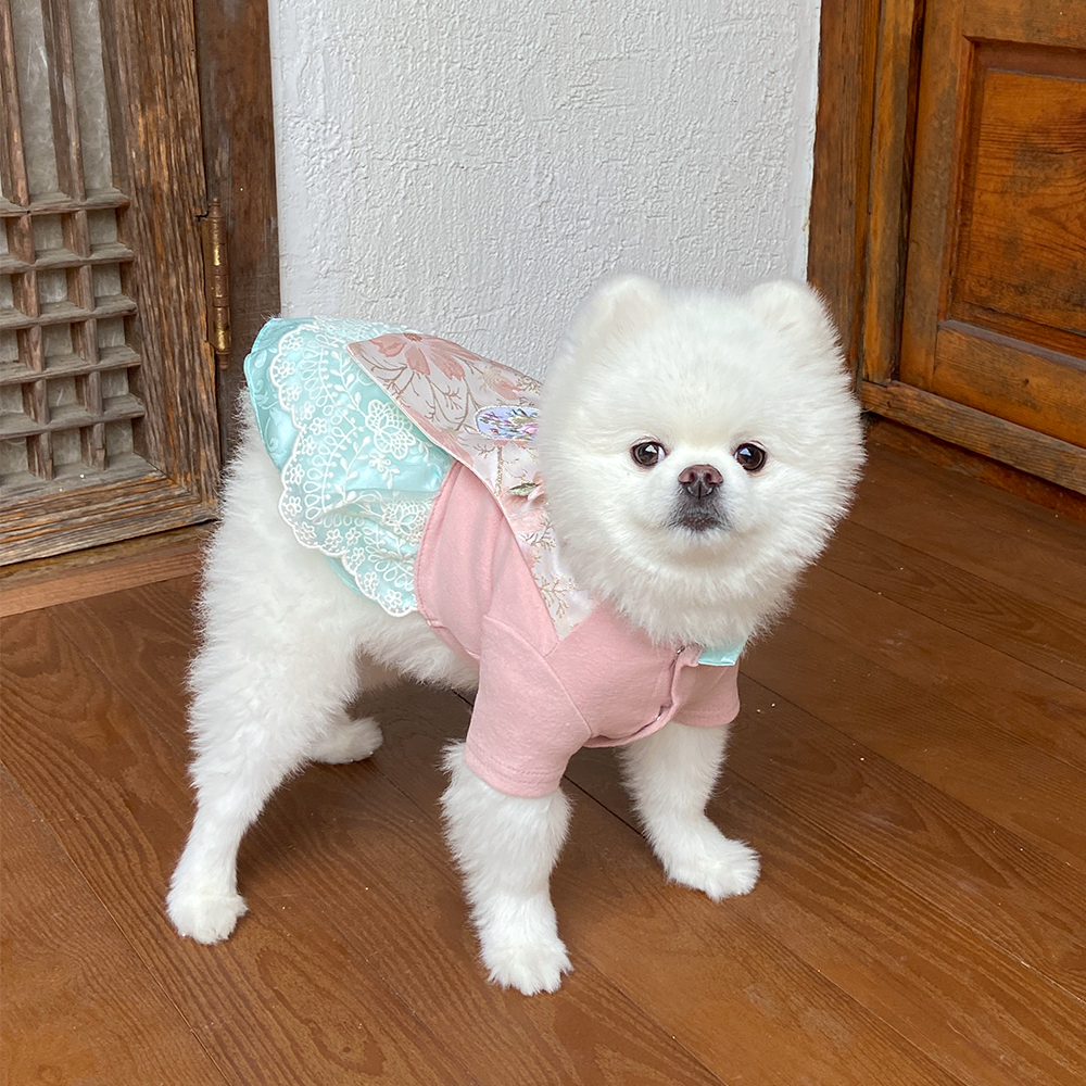 Princess Hanbok | Brooch included!