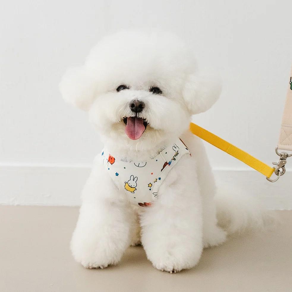 NOUTTI | Festival Miffy Harness