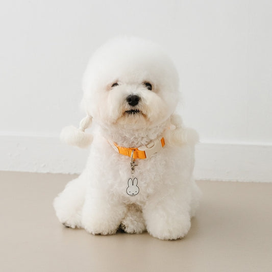 NOUTTI | Festival Miffy Collar