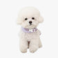 ITSDOG | Petit Mignon Angel Harness