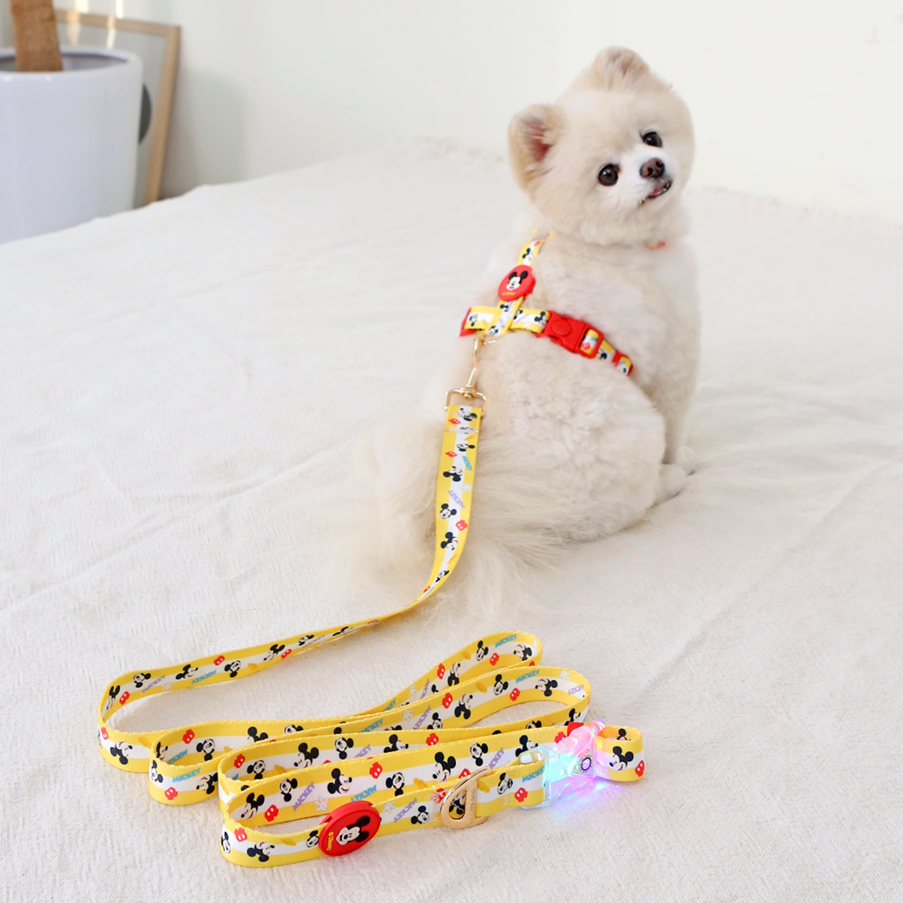 ITSDOG | Disney LED Leash (Mickey/Minnie/Donald Duck)