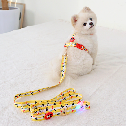 ITSDOG | Disney LED Leash (Mickey/Minnie/Donald Duck)