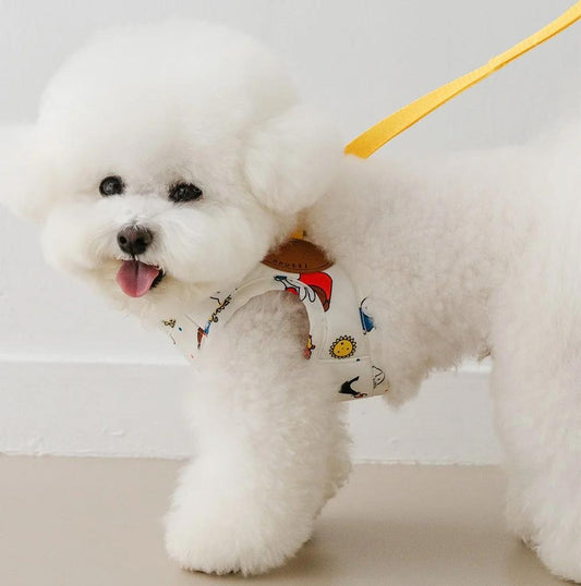 NOUTTI | Festival Miffy Harness