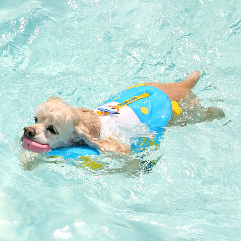 Donald Duck / Daisy Duck Life Jacket