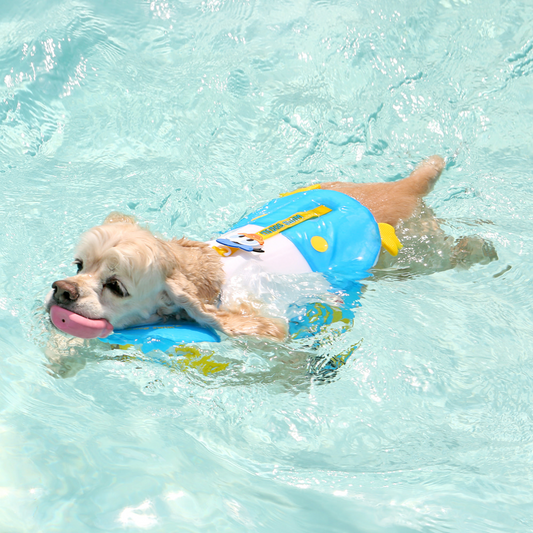 Donald Duck / Daisy Duck Life Jacket