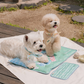likalika | Snooze Cooling Mat | S size perfect for Pet Bag!
