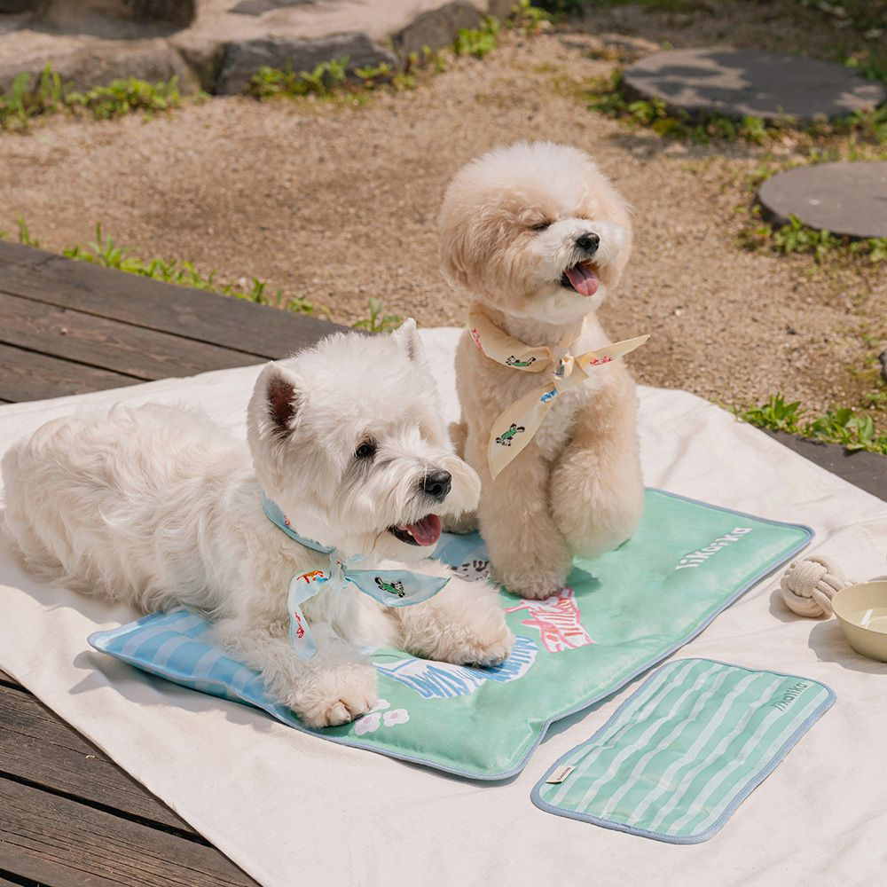 likalika | Snooze Cooling Mat | S size perfect for Pet Bag!