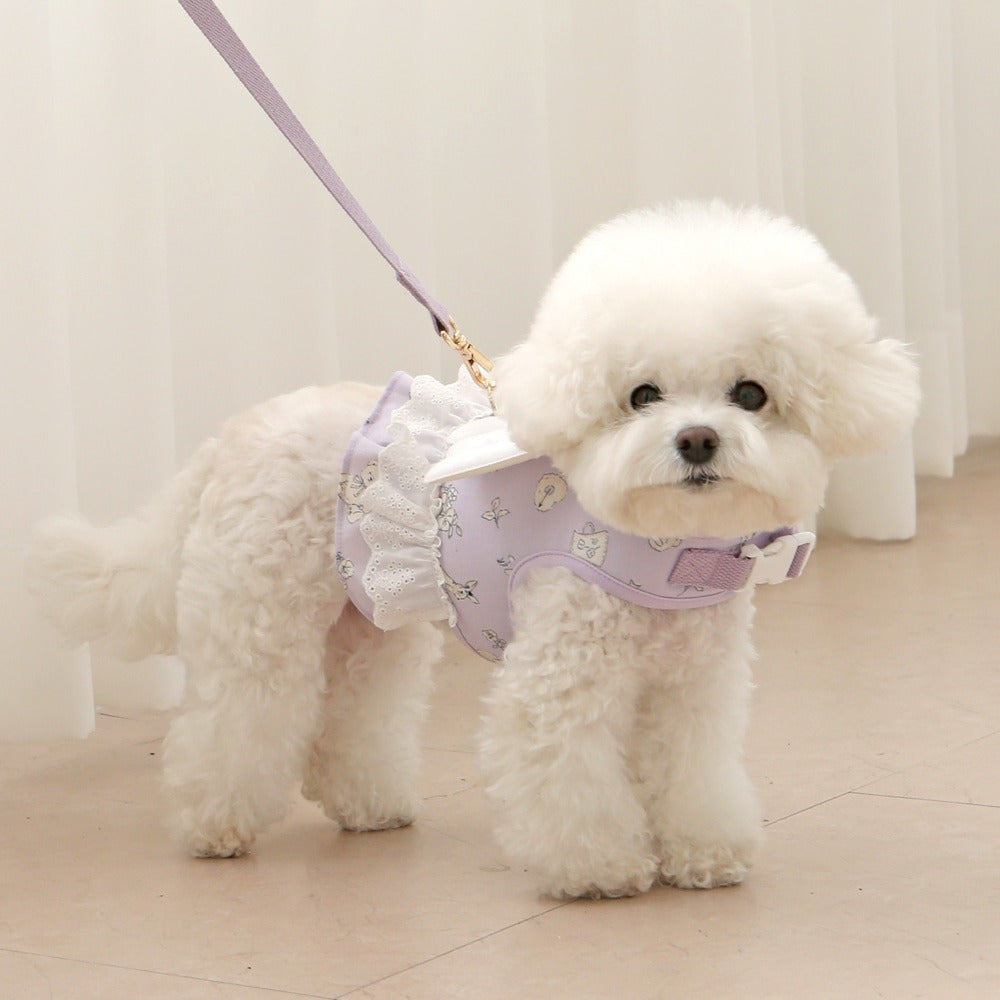 ITSDOG | Petit Mignon Angel Leash