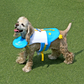 Donald Duck / Daisy Duck Life Jacket