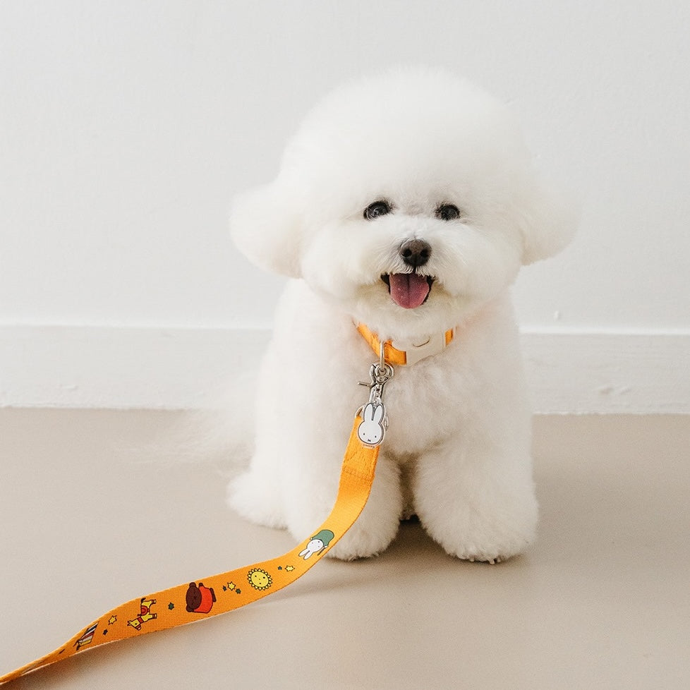 NOUTTI | Festival Miffy Leash