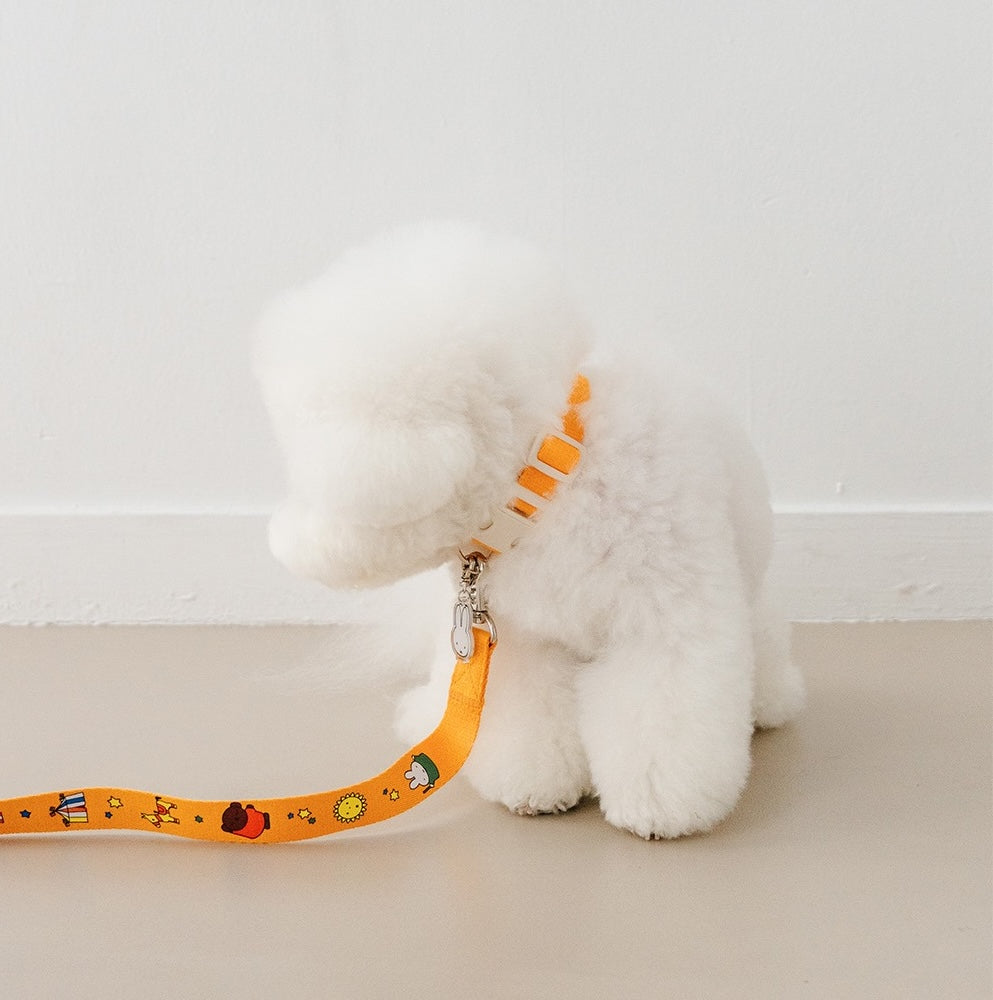 NOUTTI | Festival Miffy Collar