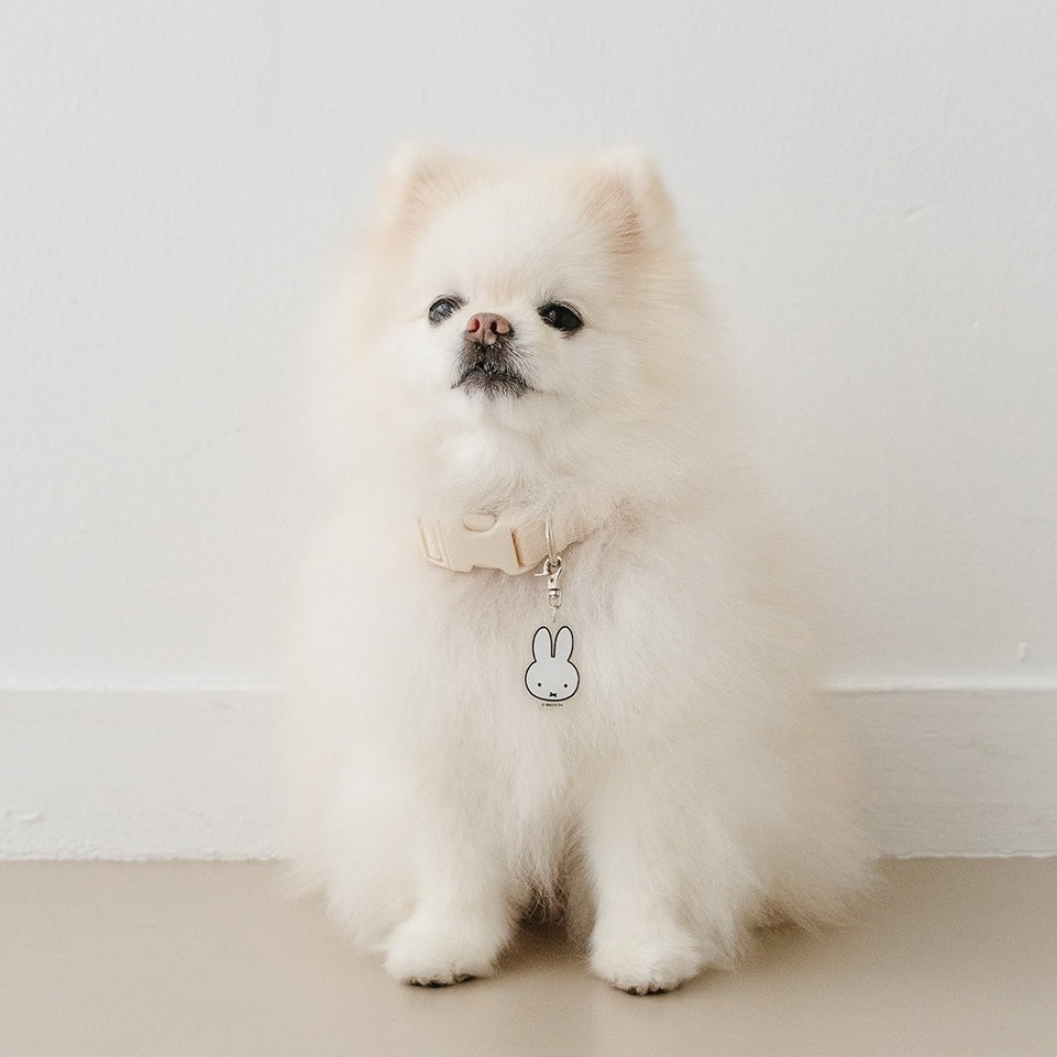 NOUTTI | Festival Miffy Collar