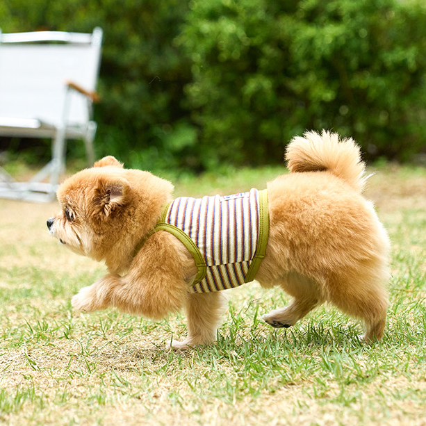 [Couple Style] Vintage Striped Crop Vest | For Furbabies