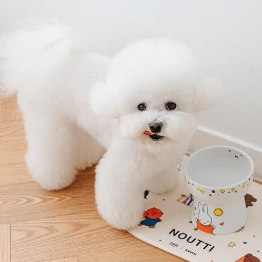 NOUTTI | Miffy & Boris嘉年華高身陶瓷寵物碗
