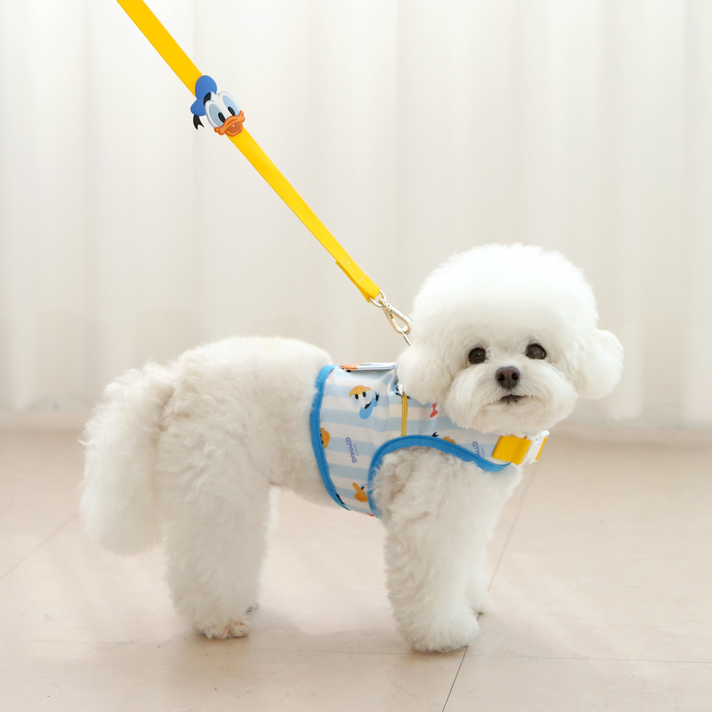 Donald Duck / Mickey Mouse Cooling Harness