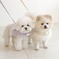 ITSDOG | Petit Mignon Angel Leash