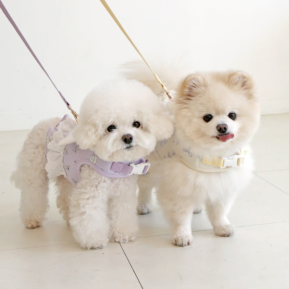 ITSDOG | Petit Mignon Angel Leash