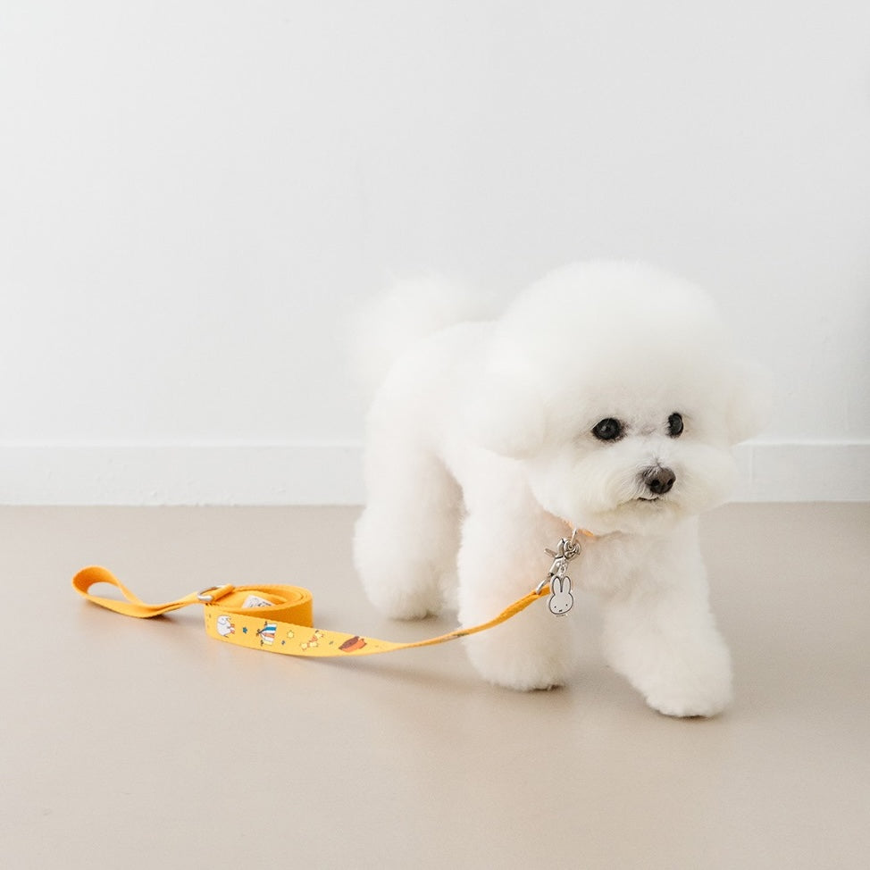NOUTTI | Festival Miffy Leash