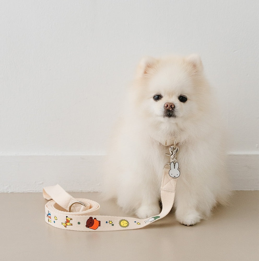 NOUTTI | Festival Miffy Collar