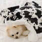 Milk Cow Cape Blanket