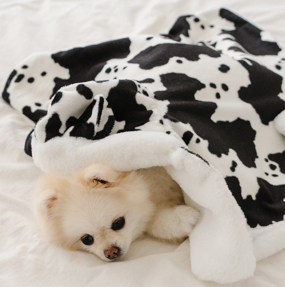 Milk Cow Cape Blanket