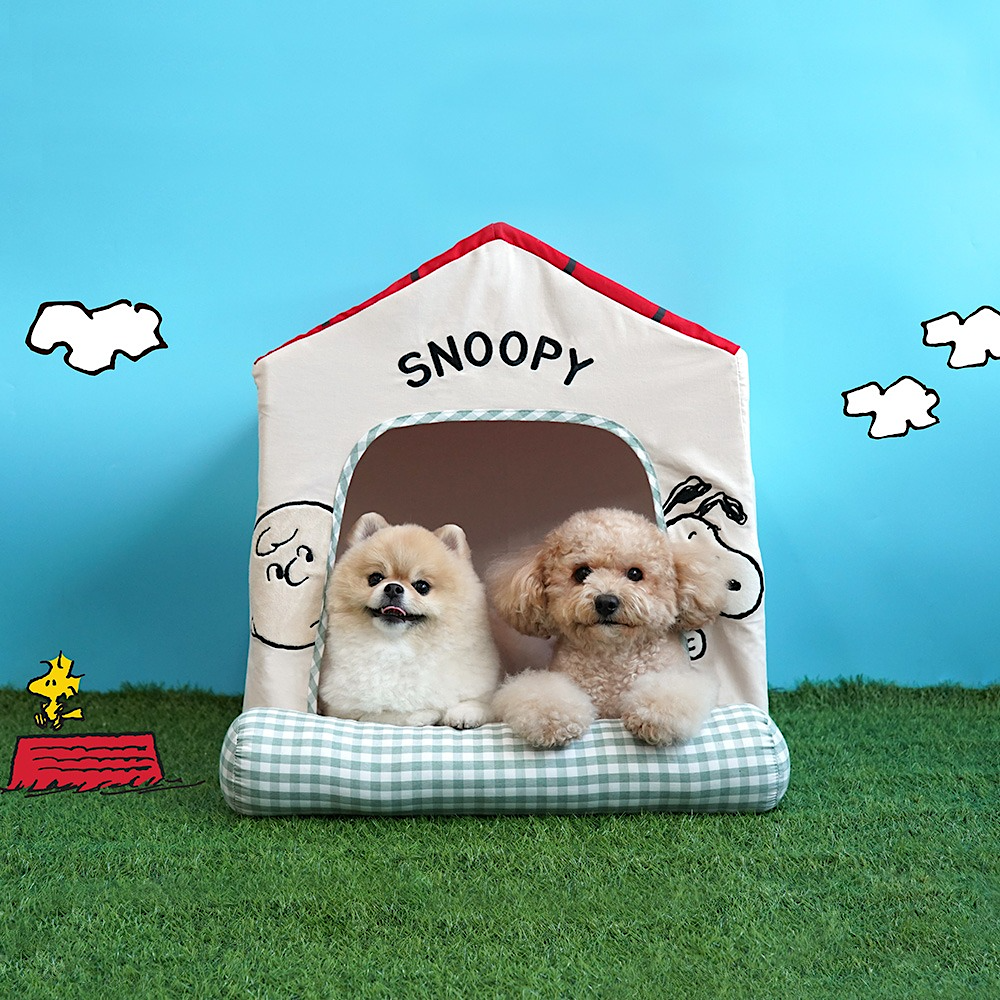 Bed | House