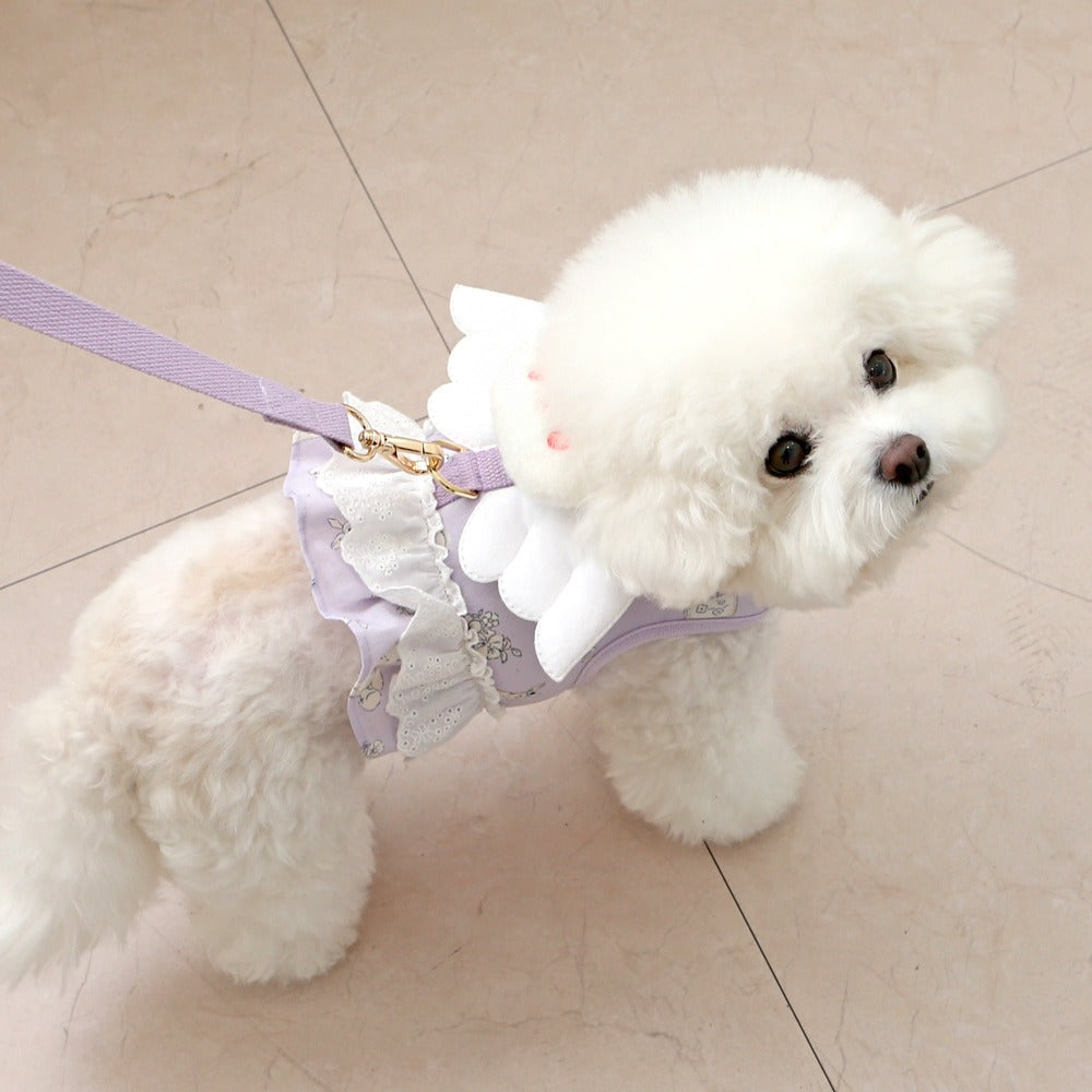 ITSDOG | Petit Mignon Angel Harness