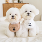 DINOTAENG口水肩 | Quok & Bobo
